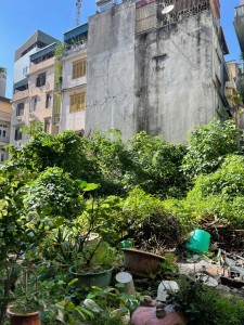 Bán Đất Ô Đồng Lầm Bờ Hồ Ba Mẫu 570m Mặt Tiền 42m Full Thổ Cư Chính Chủ 106 Tỷ